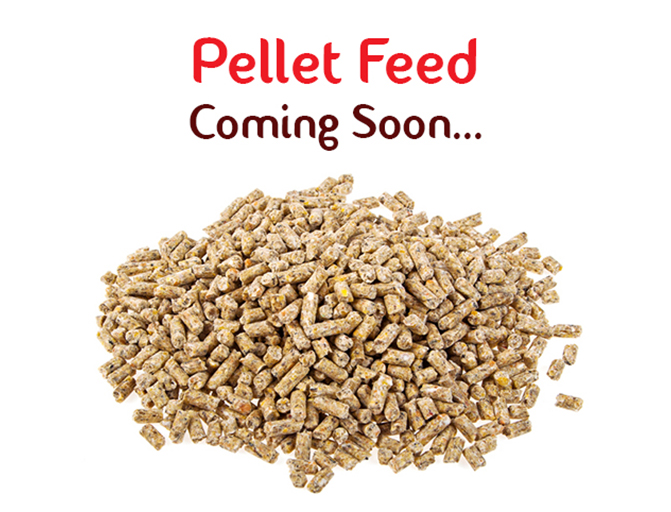 pellet feed by tirumalaa agro